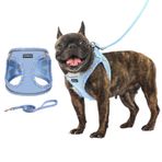 Rttochfy Küçük Köpek Koşum, Yumuşak ve Yansıtıcı Köpek Koşum, Köpek Koşum Takımı ve Küçük Boy Köpek Eğitimi, Yürüyüş için Tasma Seti (Mavi XS)