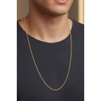 Rua Jewelry Çelik 2 mm Altın Renk Yassı Yılan Kolye - Extra Uzun 75 Cm| Kararmaz , Unisex , 2 Yıl Garantili