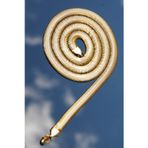 Rua Jewelry Çelik Italyan Yassı Yılan Worm Kolye 8 Mm Altın Renk | Kararmaz ,unisex ,2 Yıl Garantili