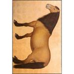 rugs modern Animal Kahverengi Tonlarda Horse Desenli Dekoratif Halı Miravip732, 150 x 150