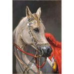 rugs modern Animal Turuncu Tonlarda At Hayvan Desenli Dekoratif Halı miravip721, 75 x 200