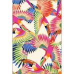 rugs modern Çok Renkli Soyut Tukan Kuşu Desenli Kreatif Modern Dekoratif Halı 5062, 75 x 300