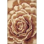 rugs modern Kahve Rengi Temalı Gül Figürlü Dokuma Taban Halı 3773, 100 x 250