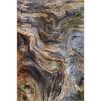rugs modern Kahverengi Jüpiterr Dalgalı Desenli Yıkanabilir Dekoratif Halı Miravip8038, 100 x 100