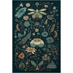 rugs modern Koyu Ton Çok Renkli Karma Etnik Çiçek ve Gül Desenli Modern Dekoratif Halı 2332, 100 x 250