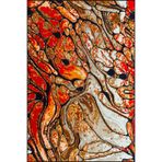 rugs modern Turuncu Botanik Desenli Dokuma Taban Halı ve Yıkanabilir Halı miravip10290, 75 x 200