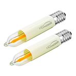 Ruiandsion E10 LED Ampul 14-55V 0,1-0,5W Avize Avize Gece Lambası Kısılabilir Şamdan Aleti Düşük Isı Yatak Odası Duvar Aplikleri Buzdolabı Işıkları, Sıcak Beyaz (2'li Paket)
