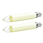 Ruiandsion E14 LED Ampul 0,2W Gece Lambası Avize 8-55V Kısılabilir Şamdan Aleti Buzdolabı Işıkları Dondurucu Buzdolabı Lambası Düşük Isı Yatak Odası Duvar Aplikleri, Sıcak Beyaz (2'li Paket)