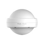 Ruıjıe Reyee RG-RAP6202(G) 2 Port Gigabit 1267 Mbps Omni-Directional Access Point Outdoor