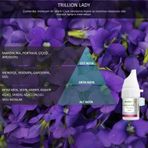 Rulopak Cosmic M5 Trillion Lady 100 ml Koku Kartuşu