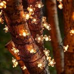 Runaway 5 Metre 50 LED Papatya Güneş Enerjili Dekoratif Işık Zinciri