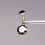 Rupen Kraft Çift Taş Siyah Renk Ultraliğht 10 mm Titanyum Göbek Piercingi - Altın