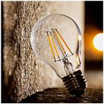 Rustik A60 Edison Led Ampül E27 Duy 6W