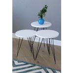 Rüyam Life Store Star 3lü Yuvarlak Zigon Sehpa Çay Sehpası Servis Sehpası