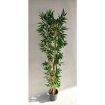 Rüzgar Yapay Çiçekçilik 5 Li Bambu 180 cm - Yeşil