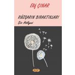 Rüzgarın Bıraktıkları - Elif Çınar