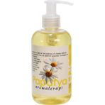 Ryotopro Papatya Aromaterapi Masaj Yağı 250 ml * 2 Adet