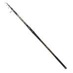 Ryuji Aragon 3.00 m 60-150 gr Tele Kamış
