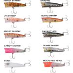 Ryuji Sea Popper 7 cm 8.5 gr Honey Shrimp Top Water Maket Yem