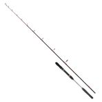 Ryuji Searider 1.80 mt 60-180 gr 2P Jig Kamış