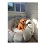 S Home Design Concept Pumpkin Teddy Beyaz Peluş Berjer