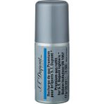 S.t. Dupont Mavi Çakmak Gazı 900434