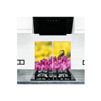 Saban Model 347 2'li 30x52 cm Cam Ocak Koruyucu Cam Kesme Tahtası