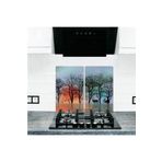 Saban Model 379 2'li 30x52 cm Cam Ocak Koruyucu Cam Kesme Tahtası