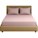 Sabia Soft Touch %100 Pamuk 62 Tel – 90X190 +30 cm Tek Kişilik Lastikli Çarşaf Seti Pudra - 90 x 190 cm