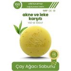 Sabunal Çay Ağacı Yağlı Leke Sabunu Ve Aktif li Ciltler Için Doğal Peeling