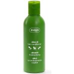 Saç Kremi, Doğal Zeytin Yenileyici, 200 ml - Option-1