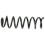 SACHS 994398 Arka Helezon Yayi 550200026R (2 Adet Fiyatıdır)