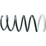 SACHS 994631 Arka Helezon Yayi 550202720R (2 Adet Fiyatıdır)