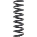 SACHS Mercedes E Serisi W211 E 200 Kompressor Helezon Yayı Arka Sachs