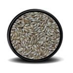 Sade Kanarya Yemi Aspur | 1kg