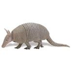 SAFARİ ARMADILLO