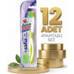 Safia Tekli Yetişkin Orta Diş Fırçası X12