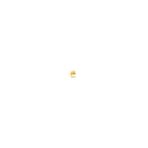 Safir Kuyumculuk Altın Ay Tragus Piercing