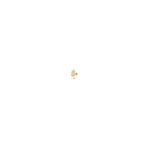 Safir Kuyumculuk Altın Dal Tragus Piercing