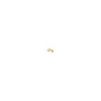 Safir Kuyumculuk Altın Göz Tragus Piercing