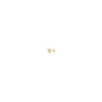Safir Kuyumculuk Altın Kalp Tragus Piercing