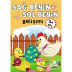 Sağ Beyin-Sol Beyin Gelişimi (3+ Yaş) - Kollektif