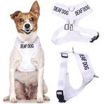 Sağır Köpek (Köpek Sınırlı/İşitme Yok) Beyaz Renk Kodlu Çekmez Ön ve Arka D Halka Dolgulu ve Su Geçirmez Yelek Köpek Koşum Takımı Köpeğinizin Diğerlerini Önceden Uyararak Kazaları Önler (S)
