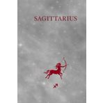 Sagittarius Zodiac Journal – Dotted Notebook | Silver & Burgundy Cover | 6x9 in Hardcover