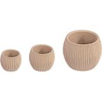 Sağlam Plastik Kaktüs Saksı 3lü Set Çölbeji