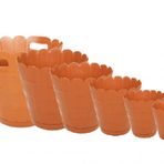Sağlam Plastik Papatya Saksı 6'lı Set