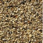Sağlık Tohumu Kuş Yemi 60 Gr