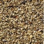 Sağlık Tohumu Kuş Yemi Yabani Sağlık Yohumu 250 Gr