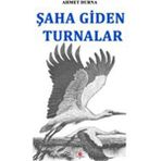 Şaha Giden Turnalar - Ahmet Durna