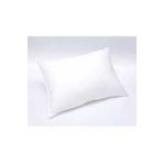 Şahinhome Home %100 Fermuarlı Boncuk Silikon Yastık 50×70 Cm 800 gram